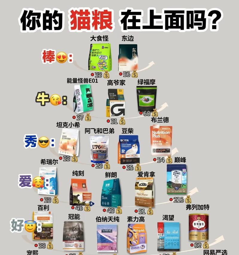 猫咪呕吐猫粮颜色异常预示着什么？