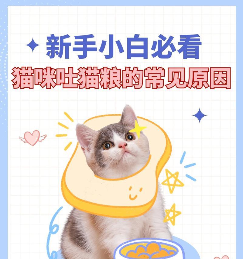 猫咪呕吐猫粮颜色异常预示着什么？