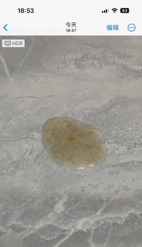 猫咪换粮导致大便不成形的有效解决方法？