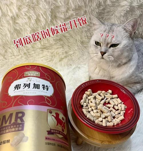 幼猫吐后应喂哪种易消化猫粮？