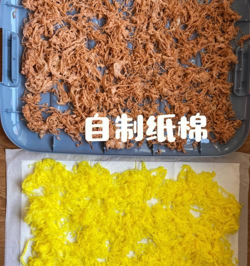 仓鼠吃卫生纸怎么办？有什么小妙招可以解决？