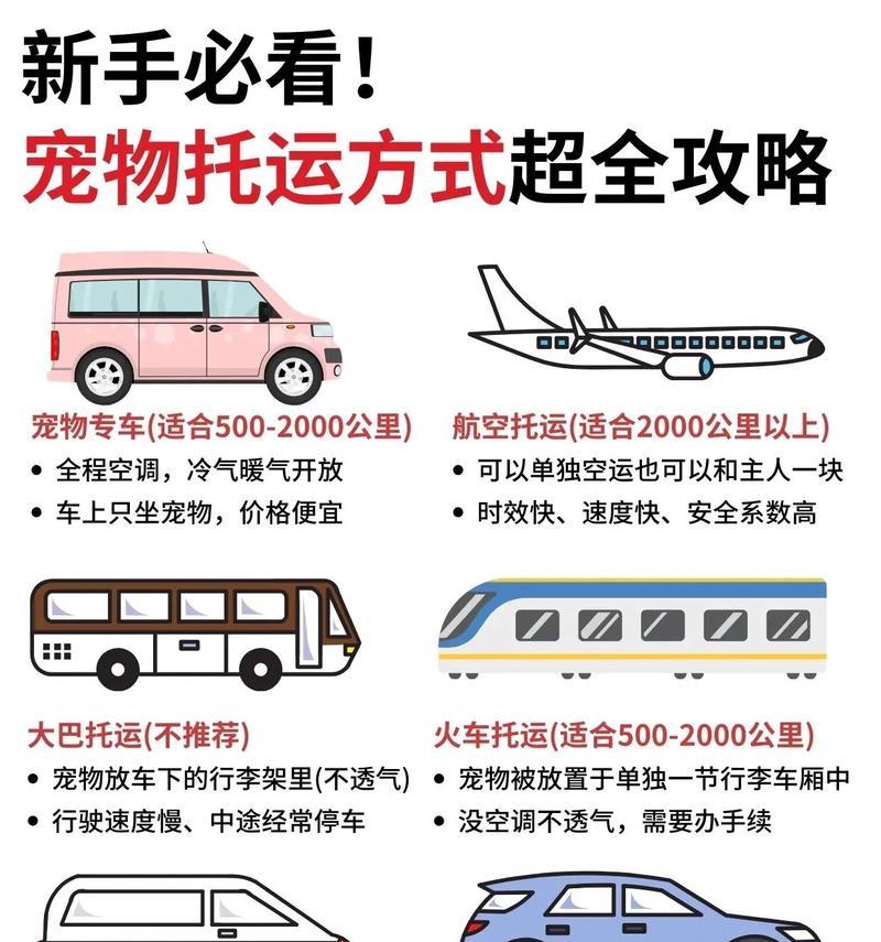 经济紧张无法坐飞机如何托运宠物回家？