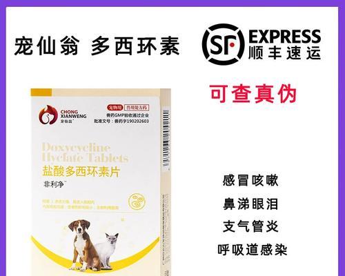 宠物狗感冒会传染给人吗？应该用什么药物治疗？