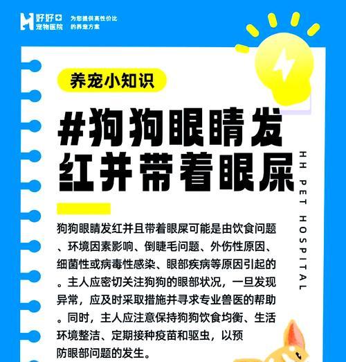 比熊眼屎粘稠？找出原因并解决方法是什么？