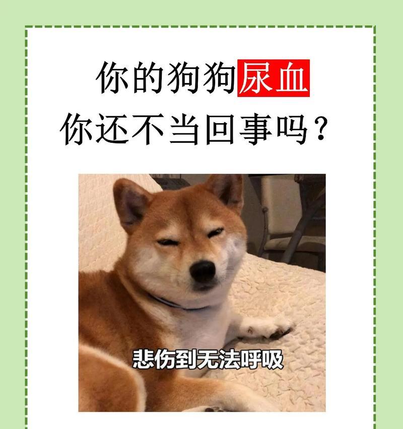 宠物狗遗尿可能是哪种病毒导致的？