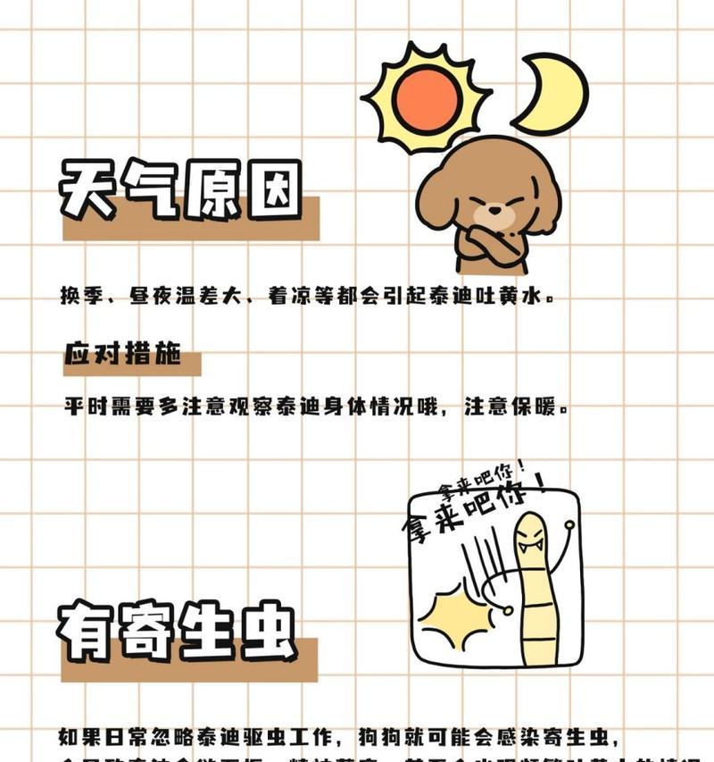 宠物运输中呕吐的应对措施是什么？