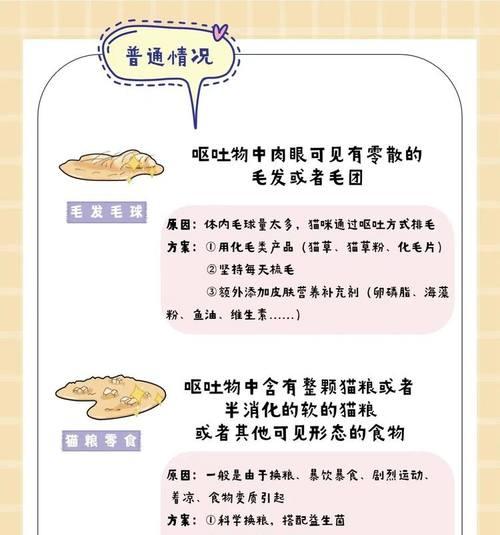 宠物运输中呕吐的应对措施是什么？