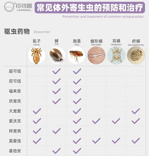 宠物狗寄生虫会传染人吗？如何预防和处理？