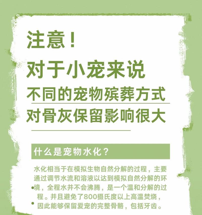 小仓鼠遇到鹦鹉怎么办？有哪些应对小妙招？