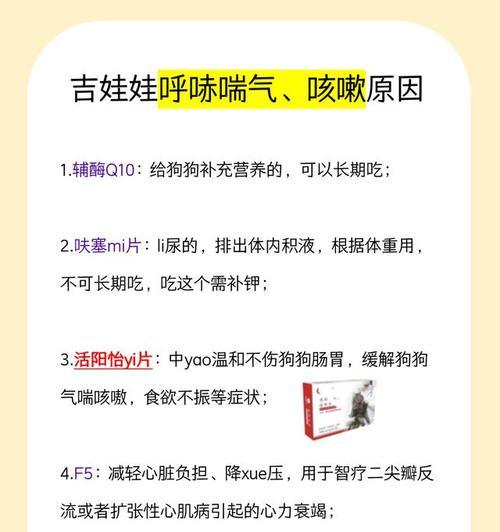 吉娃娃呼吸急促是什么原因？如何缓解？
