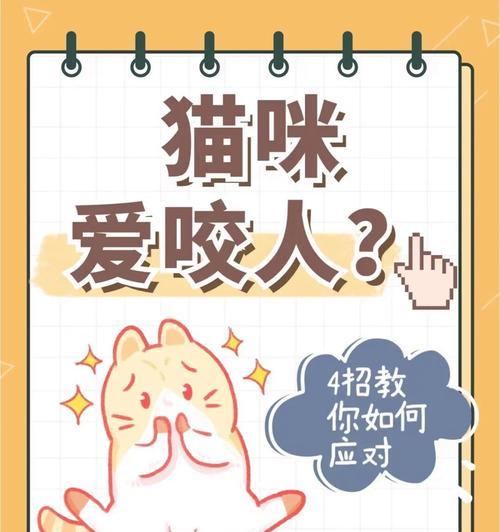 宠物猫互相攻击怎么办？如何防止猫咬猫行为？