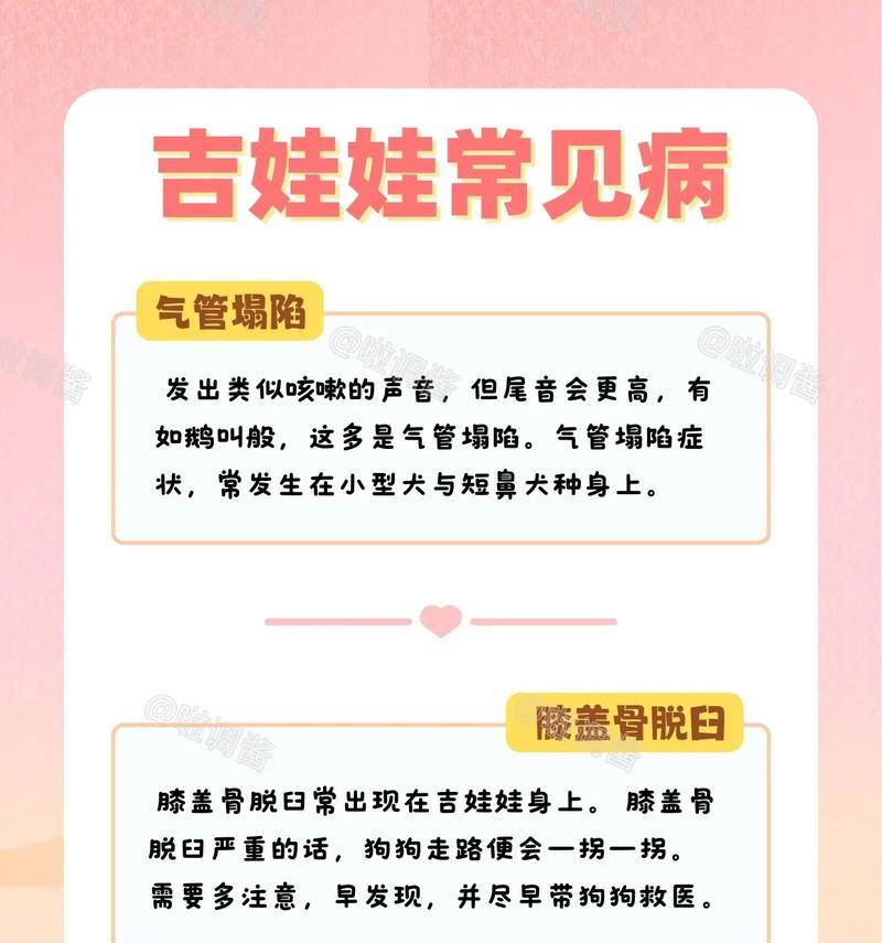 吉娃娃晚上嚎叫怎么办？有哪些小妙招？
