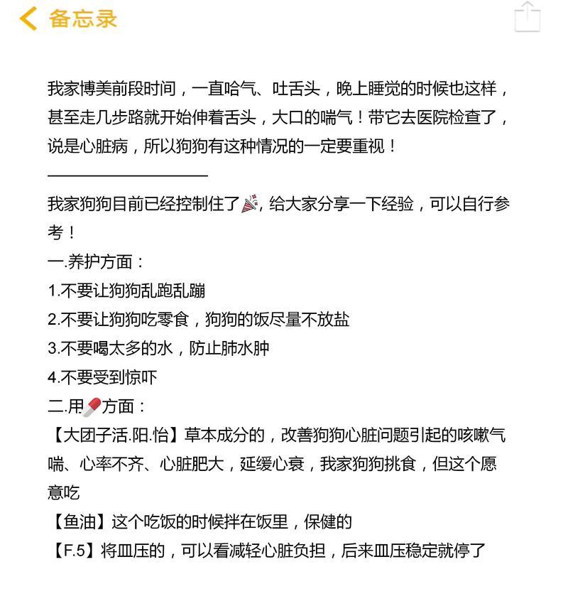 博美犬腹泻呕吐应怎么处理？
