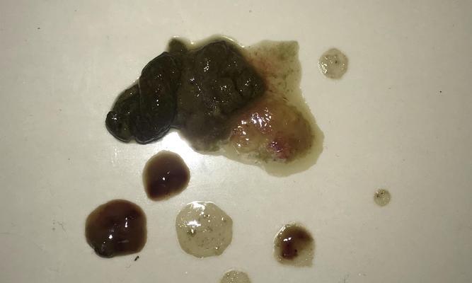 博美犬拉肚子吐咋办？吃什么药管用？