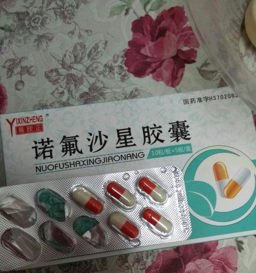 博美犬拉肚子吐咋办？吃什么药管用？