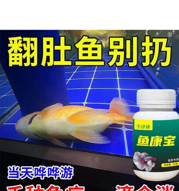 鱼体腐烂出血咋办？推荐哪种药物治疗？