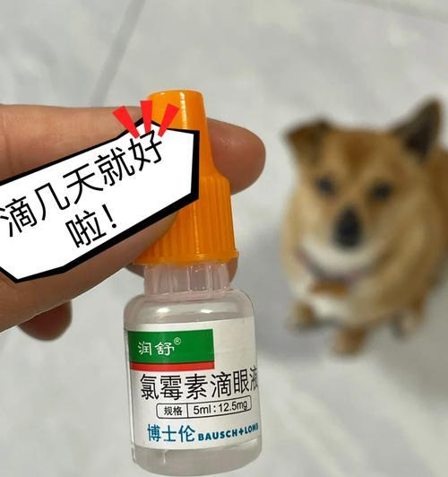 比熊眼屎粘稠咋办？推荐哪种药膏？