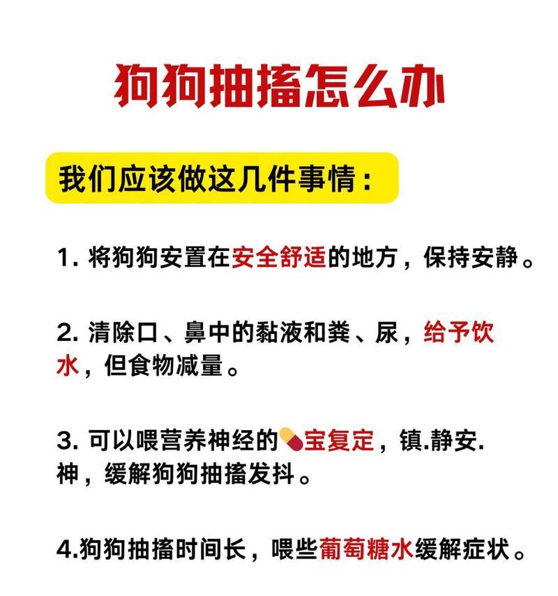 宠物狗脑炎的常见原因有哪些？如何进行治疗？