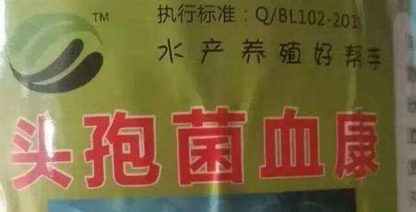 养殖鱼出血性疾病如何治疗？