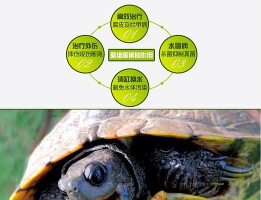 鱼塘出血病的治疗方法是什么？哪种药物效果最好？