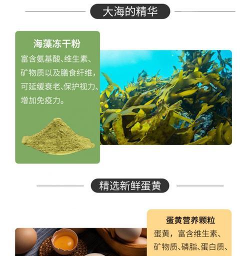 吉娃娃拒绝肉类食物怎么办？处理技巧有哪些？