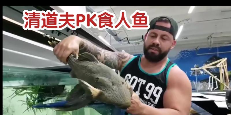清道夫在鱼缸中大量繁殖怎么办？如何有效控制数量？