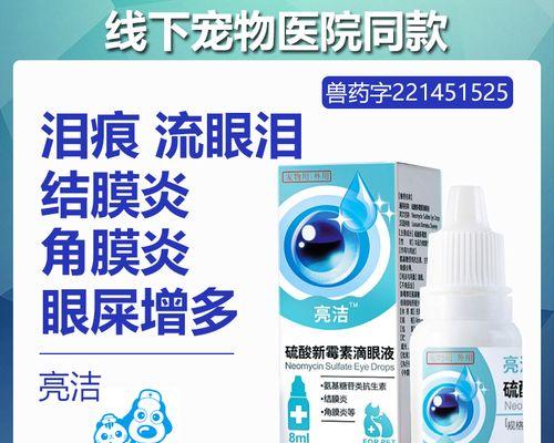 比熊犬眼屎粘稠问题如何解决？原因和解决方法是什么？