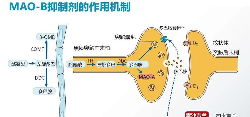 鱼胆发黑怎么办？哪种药物治疗最有效？