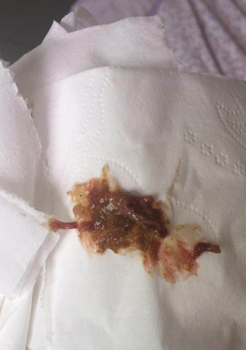 两个月拉布拉多乱咬的处理及所需药物是什么？