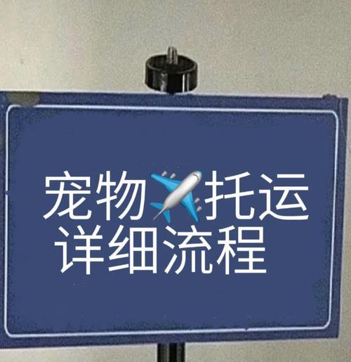 宠物托运费用高昂怎么办？如何选择经济的宠物回家方式？