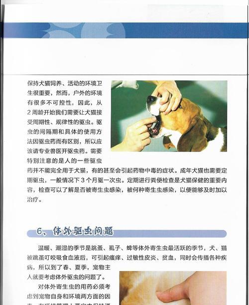 宠物寄生虫传给人怎么预防和处理？