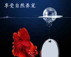 罗汉鱼腮部发黄如何有效治疗？