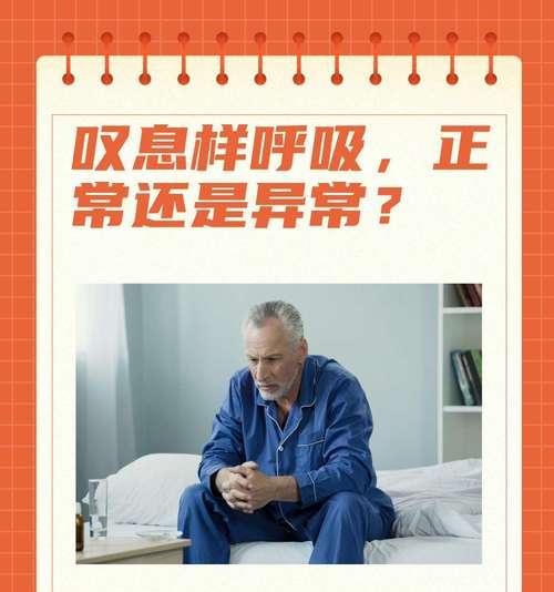 吉娃娃呼吸频率异常？一分钟36次是否需要担心？