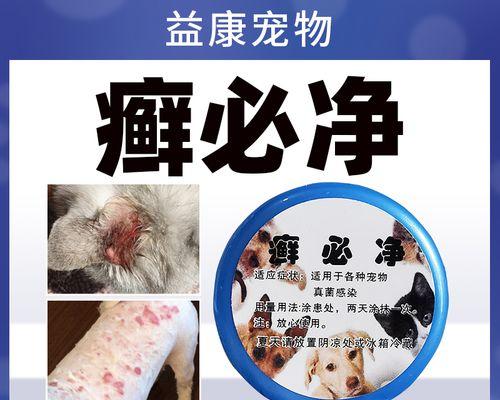 狗用真菌感染应该吃什么药？如何选择合适的治疗方案？