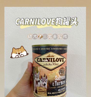 开过的狗罐头如何正确保存？延长保质期的方法是什么？