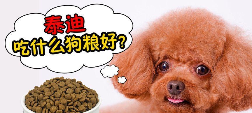 两个月大的泰迪犬应该吃什么狗粮？如何选择合适品牌？