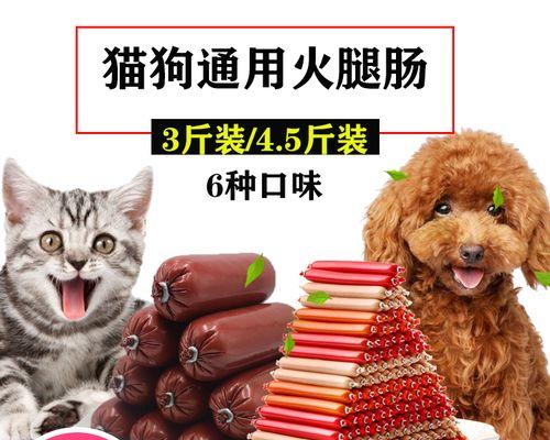 两个月狗喂多少狗粮？喂食指南和常见问题解答