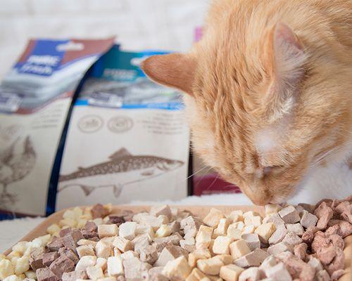 猫咪吃蛋白质含量高的食物有哪些？如何确保猫咪摄入足够的蛋白质？