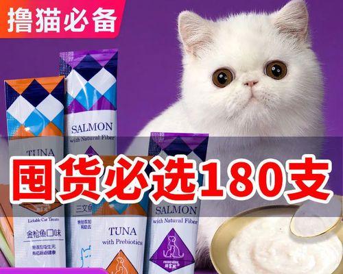 猫咪可以吃什么食物？安全饮食指南有哪些？