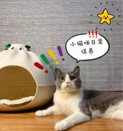 猫咪体外驱虫后没精神是怎么回事？如何解决？