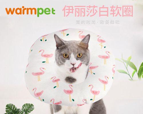 猫咪一直挠脖子是什么原因？如何解决？