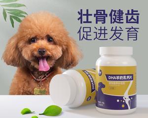 狗狗可以吃乳酸菌吗？乳酸菌对狗狗有哪些好处？