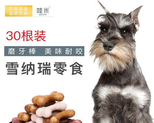 三个月狗狗怎么训练？训练狗狗的正确方法和常见问题解答？