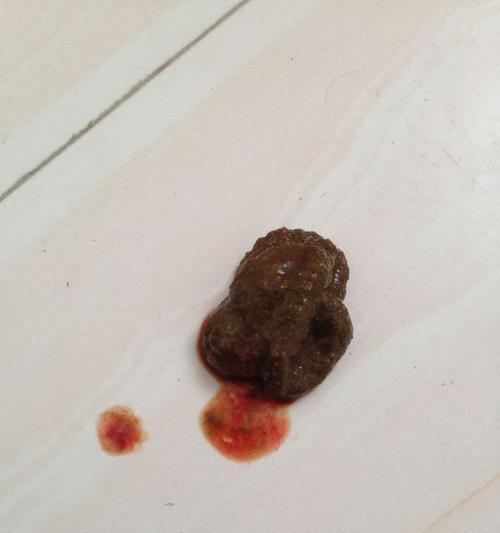 三个月小猫拉稀拉血怎么办？常见原因及处理方法是什么？