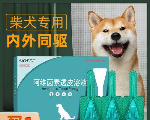 小狗多久可以进行驱虫？驱虫药使用时间表是什么？