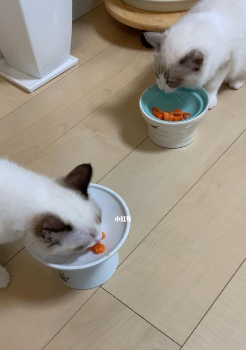 小猫吃生鱼肉安全吗？对健康有什么影响？