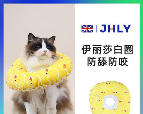 小猫老舔伊丽莎白圈是怎么回事？如何解决？