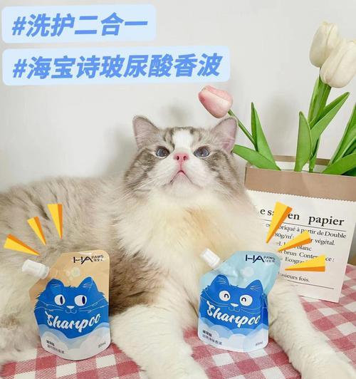 小猫用肥皂洗澡安全吗？正确方法是什么？