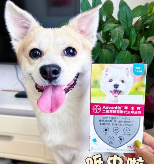 幼犬驱虫是什么意思？为什么对狗狗健康至关重要？