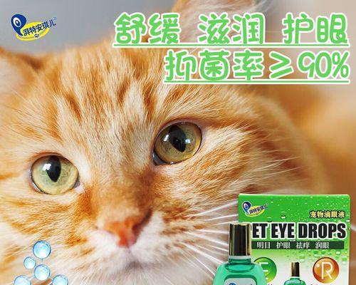 给小猫上滴眼液的正确方法是什么？需要特别注意哪些事项？